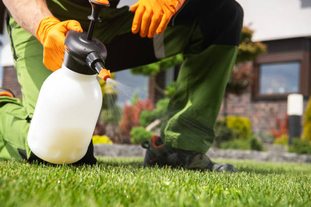 Best Affordable Pest Control Services  in Quitman, MS